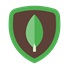 mongoDB